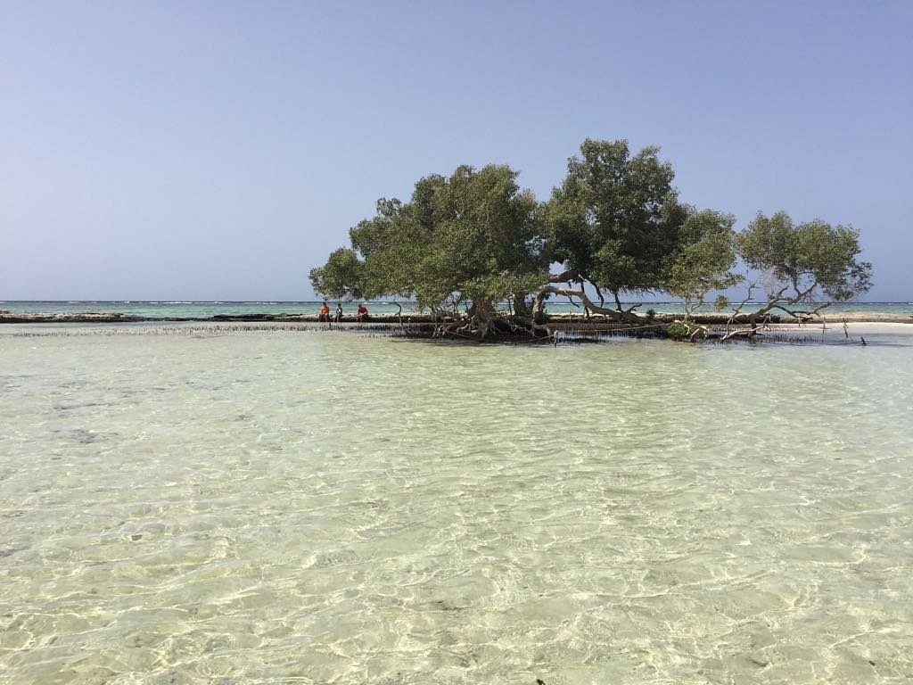 Beaches of the Wadi al-Jamal Reserve